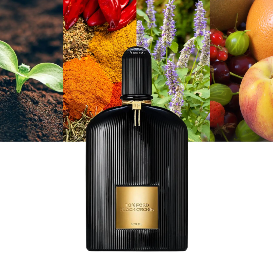 Black Orchid Parfum Tom Ford for women and men